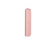 ETUI PARKER POJEDYNCZE ROSE