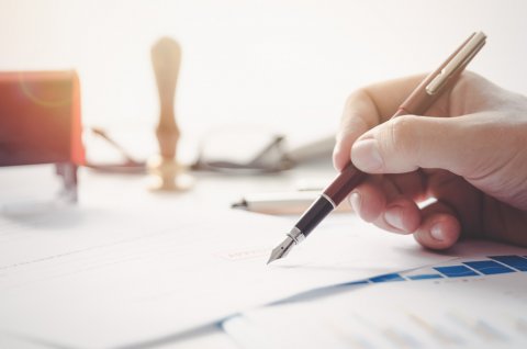 Ranking piór wiecznych dla początkujących (2025)