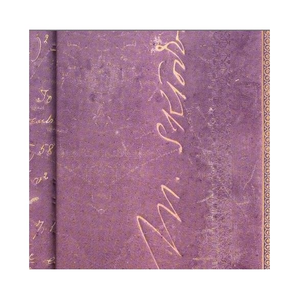 NOTES PAPERBLANKS MARIA CURIE SCIENCE OF RADIOACTIVITY ULTRA W LINIE